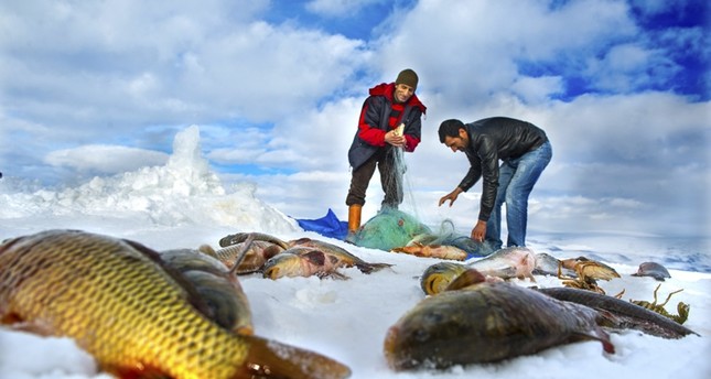 طرق صيد السمك