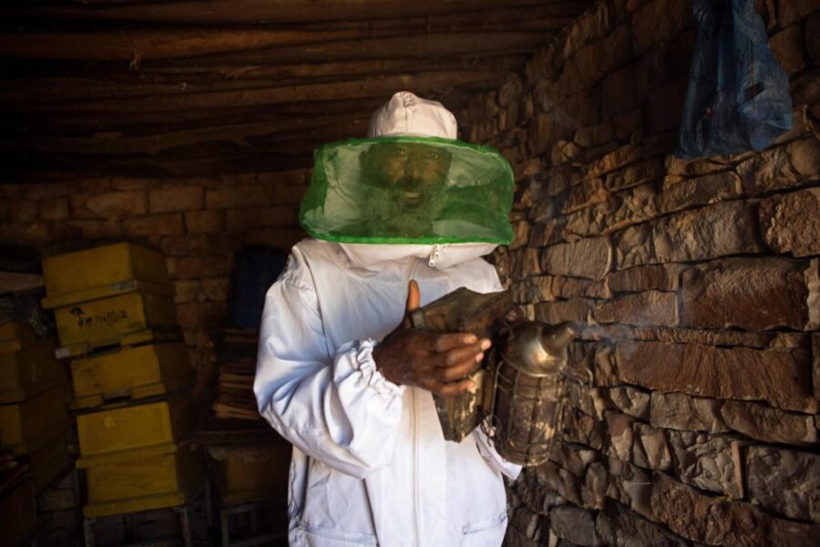 العسل الاصلي في تركيا