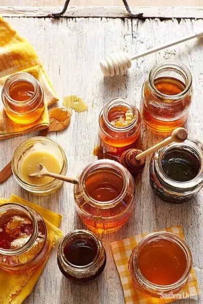 أشهر أنواع العسل التي يتم إنتاجها في تركيا