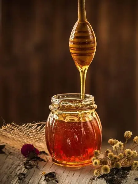 مناحل العسل في بورصة
