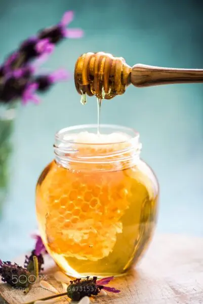 كم سعر كيلو العسل الطبيعي