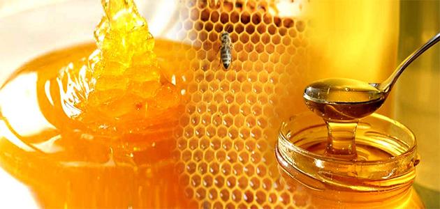 فوائد العسل الطبية