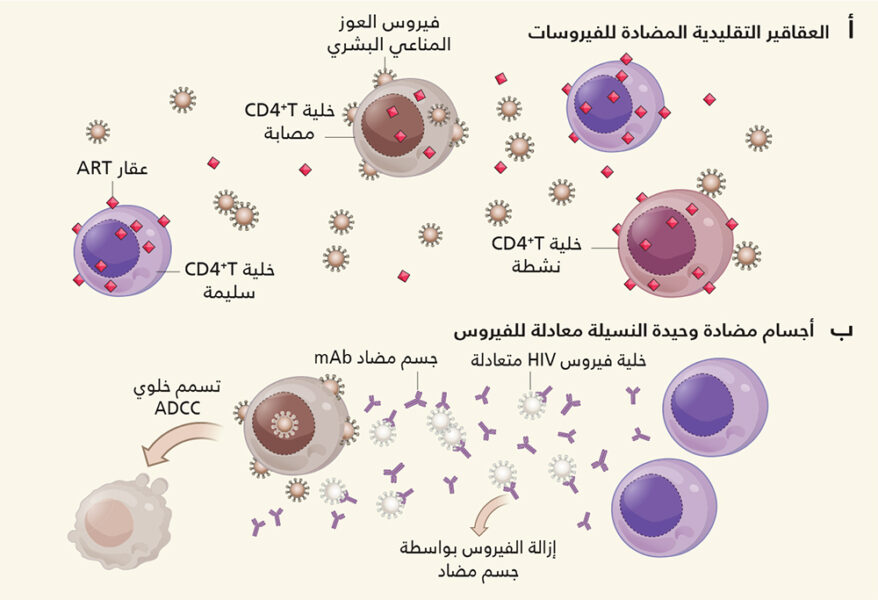 علاج العقم المناعي