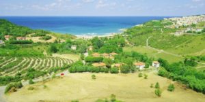 شراء أرض زراعية في تركيا