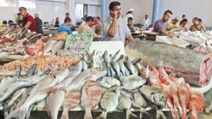 سوق السمك في تركيا