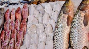 محلات صيد السمك في تركيا