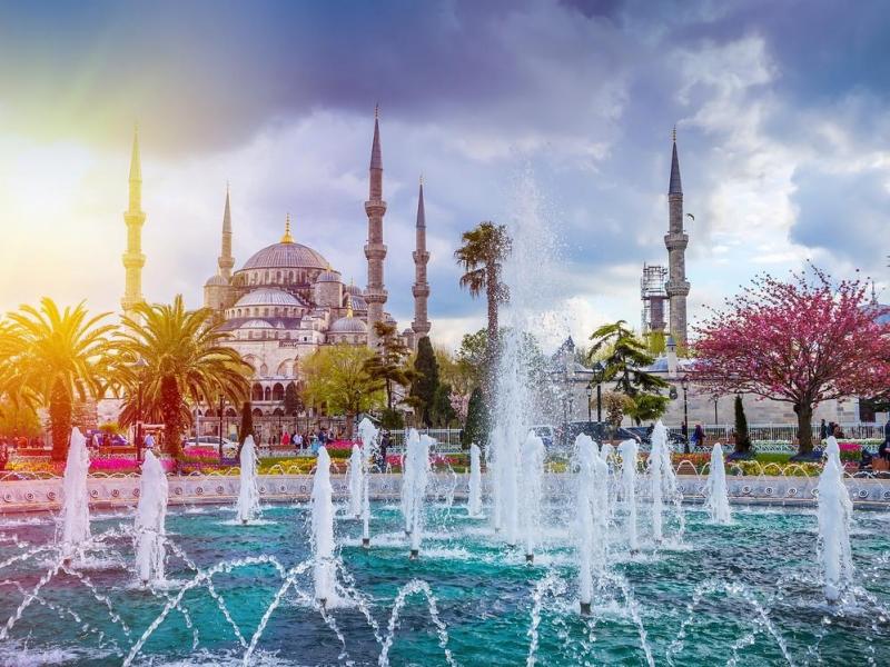 مشروع شركة سياحة في تركيا